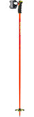 WYLDBIRD TR
