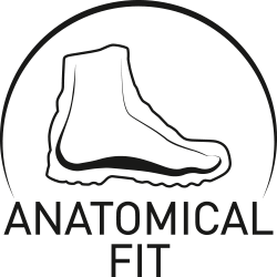 Anatomical Fit
